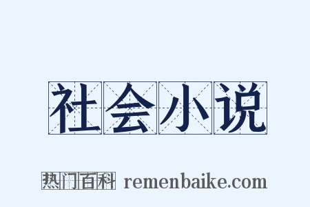 社会小说是什么意思的图片